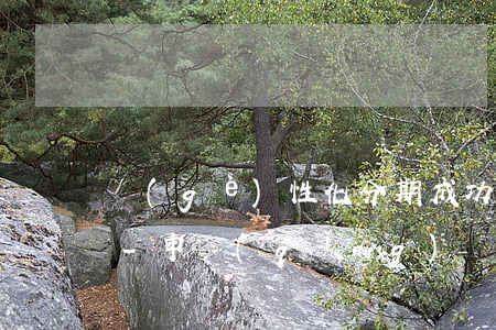 個(gè)性化分期成功后可以一次還款嗎-申請(qǐng)個(gè)性化分期后可以一次還清嗎