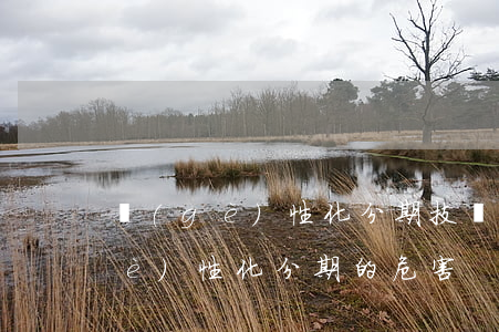 個(gè)性化分期技術(shù)(個(gè)性化分期的危害)