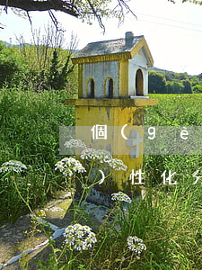 個(gè)性化分期政策-各銀行個(gè)性化分期政策