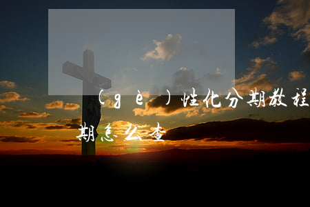 個(gè)性化分期教程（個(gè)性化分期怎么查詢）