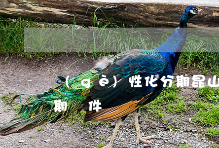 個(gè)性化分期昆山(個(gè)性化分期條件)