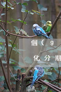 個(gè)性化分期最低還款(個(gè)性化分期還款利息如何計(jì)算)