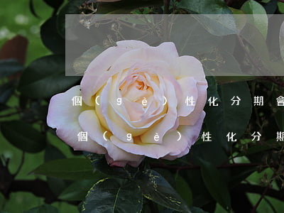 個(gè)性化分期會(huì)被起訴嗎(個(gè)性化分期還款法律規(guī)定)