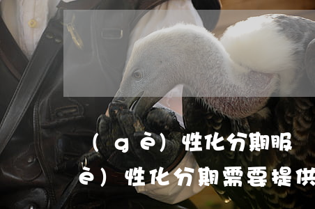 個(gè)性化分期服務(wù)-個(gè)性化分期需要提供什么材料