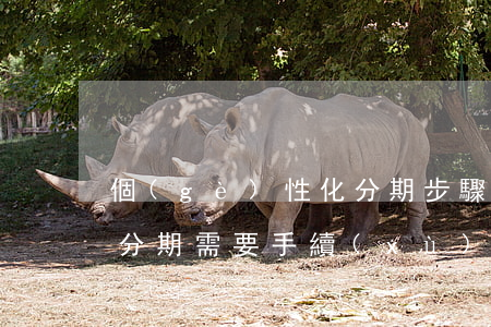 個(gè)性化分期步驟-個(gè)性化分期需要手續(xù)費(fèi)嗎