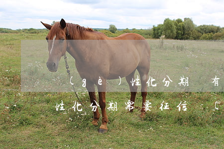 個(gè)性化分期沒有證明-個(gè)性化分期需要征信報(bào)告