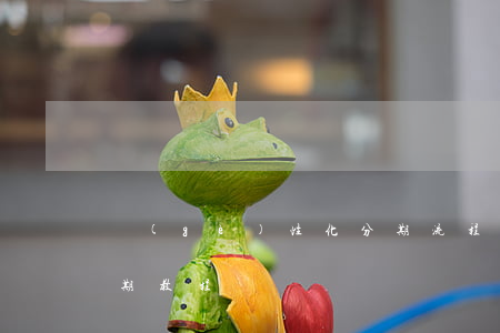 個(gè)性化分期流程(個(gè)性化分期教程)