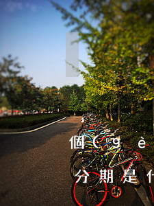 個(gè)性化分期的好處（個(gè)性化分期是什么文件）