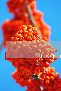 個(gè)性化分期自我說(shuō)明(辦理個(gè)性化分期話術(shù))