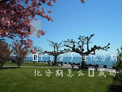 個(gè)性化分期表怎么填(個(gè)性化分期怎么談成功)