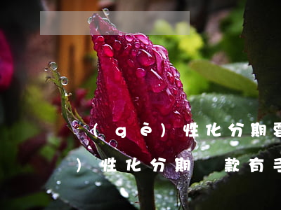 個(gè)性化分期要求先還款-個(gè)性化分期還款有手續(xù)費(fèi)嗎