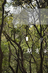 個(gè)性化分期話語(個(gè)性化分期有利息嗎)