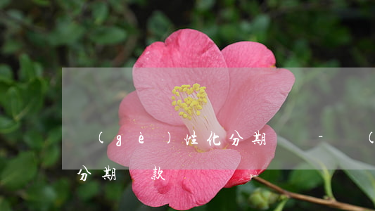 個(gè)性化分期賬單-個(gè)性化分期還款
