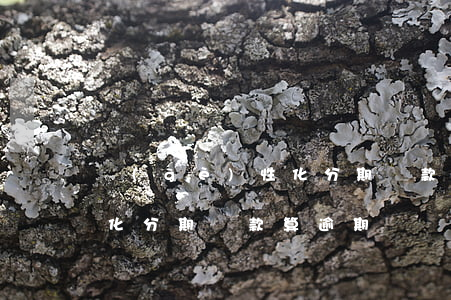 個(gè)性化分期還款后果(個(gè)性化分期還款算逾期嗎)