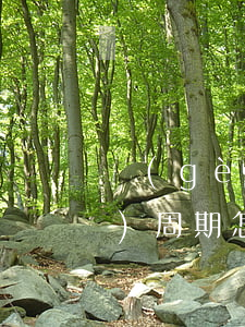 個(gè)性化分期還款延長(zhǎng)周期怎么辦理-個(gè)性化分期可以延期還款嗎