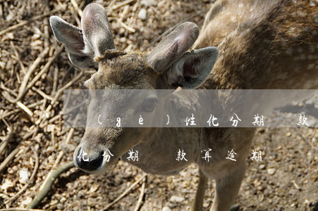個(gè)性化分期還款方法(個(gè)性化分期還款算逾期嗎)