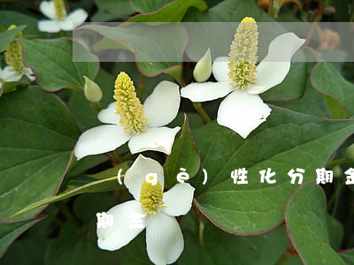 個(gè)性化分期金額（個(gè)性化分期金額）