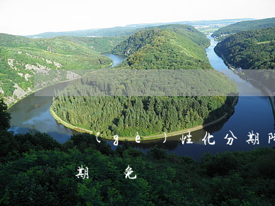 個(gè)性化分期降額(個(gè)性化分期減免)