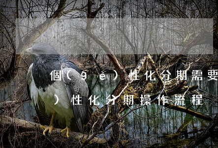 個(gè)性化分期需要什么條件（個(gè)性化分期操作流程）