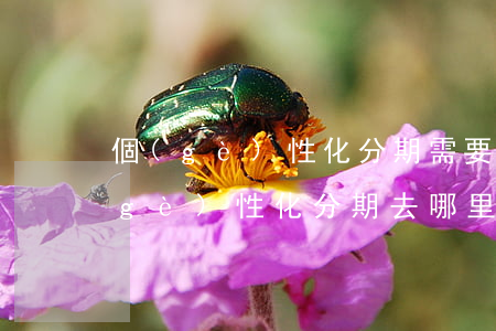 個(gè)性化分期需要什么申請材料（個(gè)性化分期去哪里辦理）