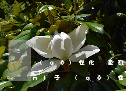 個(gè)性化還款有什么危害(關(guān)于個(gè)性化還款的規(guī)定)