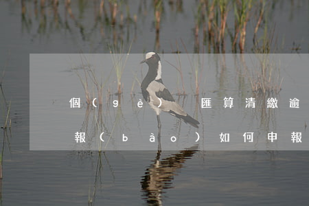 個(gè)稅匯算清繳逾期沒(méi)申報(bào)如何申報(bào)-個(gè)稅匯算清繳逾期沒(méi)申報(bào)如何申報(bào)退稅
