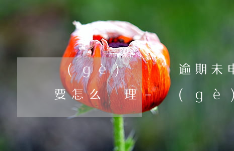 個(gè)稅匯繳逾期未申報(bào)需要怎么處理-個(gè)稅匯繳逾期未申報(bào)需要怎么處理呢