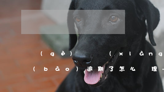 個(gè)稅專項(xiàng)附加申報(bào)逾期了怎么處理-個(gè)稅專項(xiàng)附加申報(bào)逾期了怎么處理呢