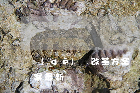 個(gè)稅改革方案，個(gè)稅改革方案最新