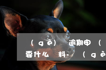個(gè)稅逾期申報(bào)去稅局需要什么資料-個(gè)稅逾期申報(bào)去稅局需要什么資料呢