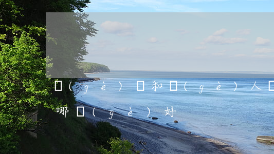個(gè)體和個(gè)人獨(dú)資哪個(gè)好