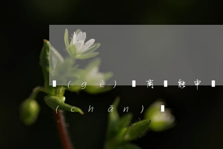 個(gè)體商戶能申請(qǐng)破產(chǎn)嗎