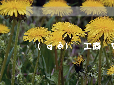 個(gè)體工商戶交什么稅