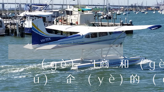 個(gè)體工商戶和個(gè)人獨(dú)資企業(yè)的區(qū)別