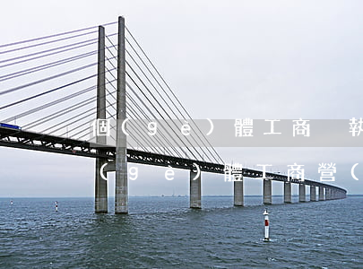 個(gè)體工商戶執(zhí)照年檢(個(gè)體工商營(yíng)業(yè)執(zhí)照怎么年檢)