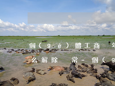 個(gè)體工商戶年報(bào)逾期怎么解除異常-個(gè)體工商戶年報(bào)逾期怎么解除異常狀態(tài)