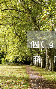 個(gè)體工商戶所得稅(個(gè)體工商戶所得稅)