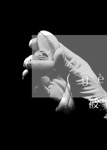 個(gè)體工商戶欠錢被起訴(個(gè)體戶被起訴欠款)