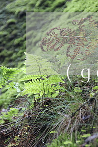 個(gè)體工商戶注冊資金