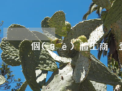 個(gè)體工商戶登記管理辦法