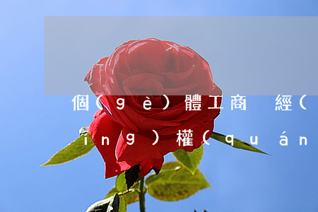 個(gè)體工商戶經(jīng)營(yíng)權(quán)離婚(法律上個(gè)體工商戶是企業(yè)嗎)