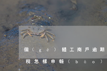 個(gè)體工商戶逾期未申報(bào)稅怎樣申報(bào)-個(gè)體工商戶逾期未申報(bào)稅怎樣申報(bào)退稅
