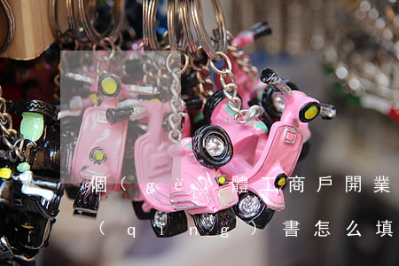 個(gè)體工商戶開業(yè)登記申請(qǐng)書怎么填
