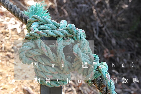 個(gè)體戶(hù)報(bào)稅逾期會(huì)罰款嗎要罰多少-個(gè)體戶(hù)報(bào)稅逾期會(huì)罰款嗎要罰多少錢(qián)