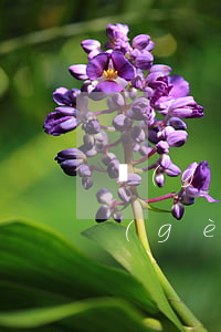 個(gè)體戶(hù)欠信用卡的接口 個(gè)體戶(hù)客戶(hù)欠款怎么辦