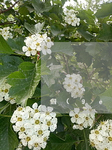 個(gè)體戶年報(bào)逾期一個(gè)月會怎么樣-個(gè)體戶年報(bào)逾期一個(gè)月會怎么樣嗎