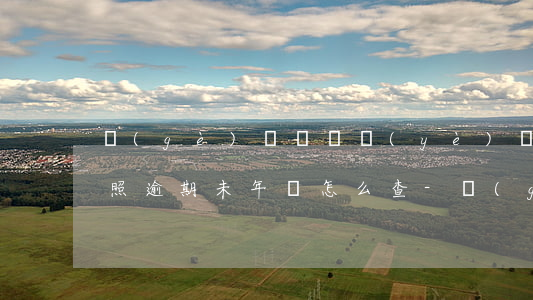 個(gè)體戶營業(yè)執(zhí)照逾期未年審怎么查-個(gè)體戶營業(yè)執(zhí)照逾期未年審怎么查詢