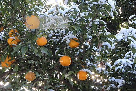 個(gè)體戶稅務(wù)申報(bào)逾期有什么處罰-個(gè)體戶稅務(wù)申報(bào)逾期有什么處罰嗎