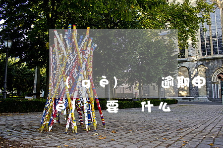 個(gè)體戶逾期申報(bào)個(gè)稅要帶什么