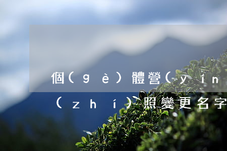 個(gè)體營(yíng)業(yè)執(zhí)照變更名字